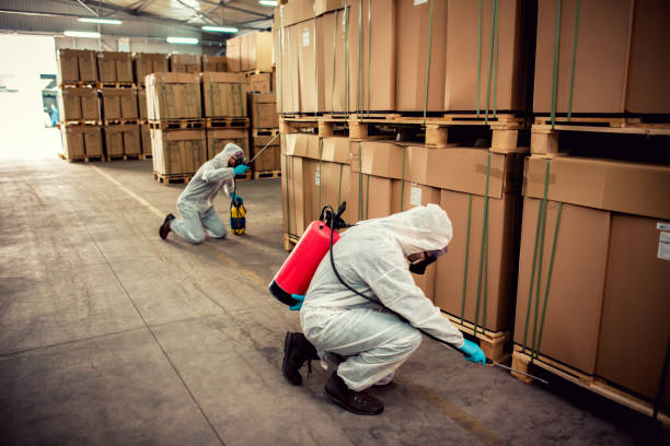 Best Best Pest Control Companies  in Rockledge, PA
