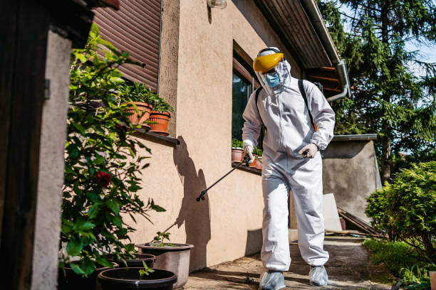 Best Termite Control Services  in Rockledge, PA