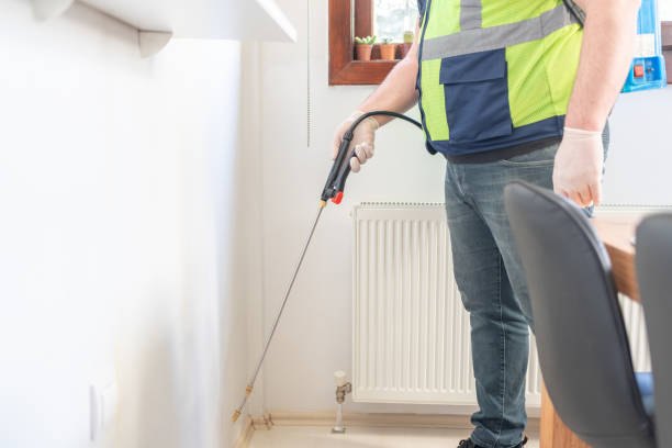 Flea Control Services in Rockledge, PA