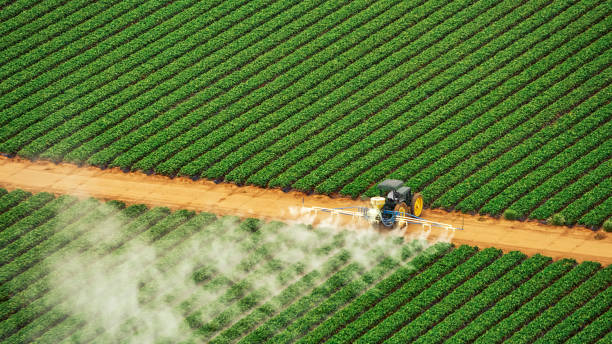 Best Pest Removal Services  in Rockledge, PA
